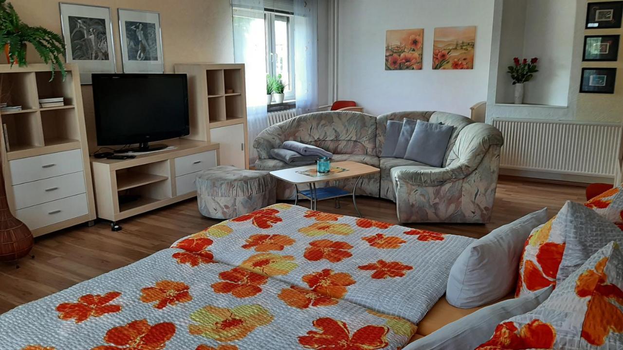 Ferienwohnung Koenig Niedergurig Bei Bautzen Malschwitz エクステリア 写真