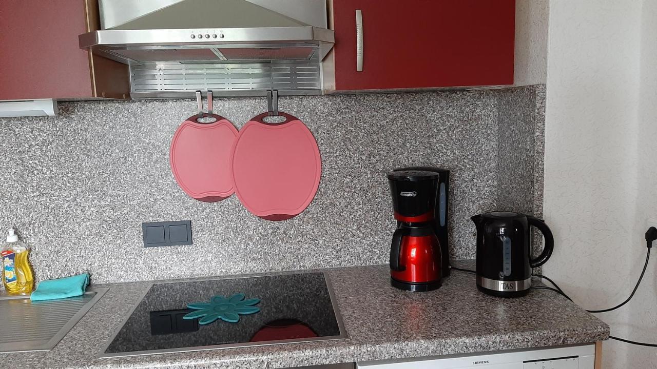 Ferienwohnung Koenig Niedergurig Bei Bautzen Malschwitz エクステリア 写真