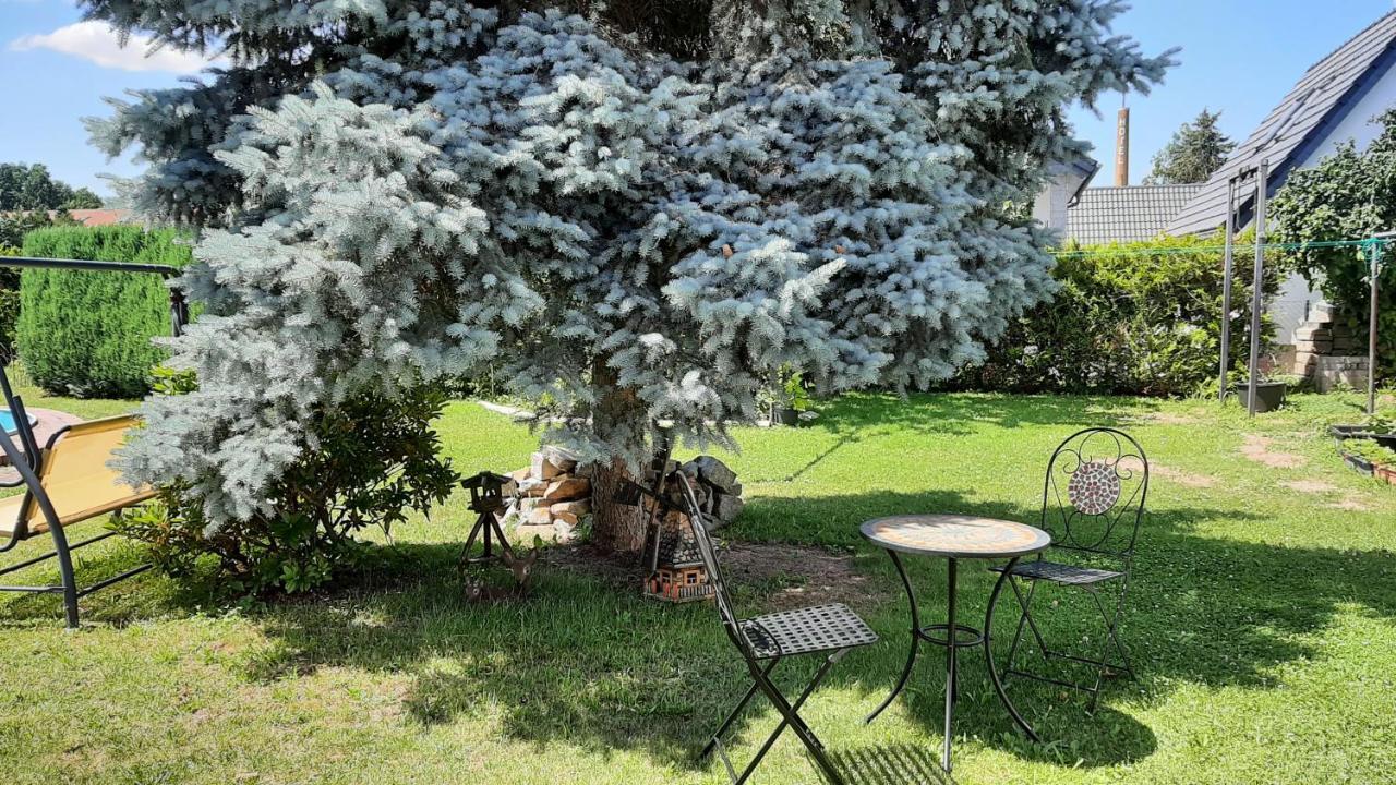 Ferienwohnung Koenig Niedergurig Bei Bautzen Malschwitz エクステリア 写真
